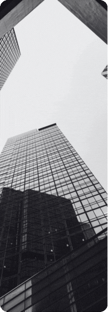 DayinDesign-darashPortfolio